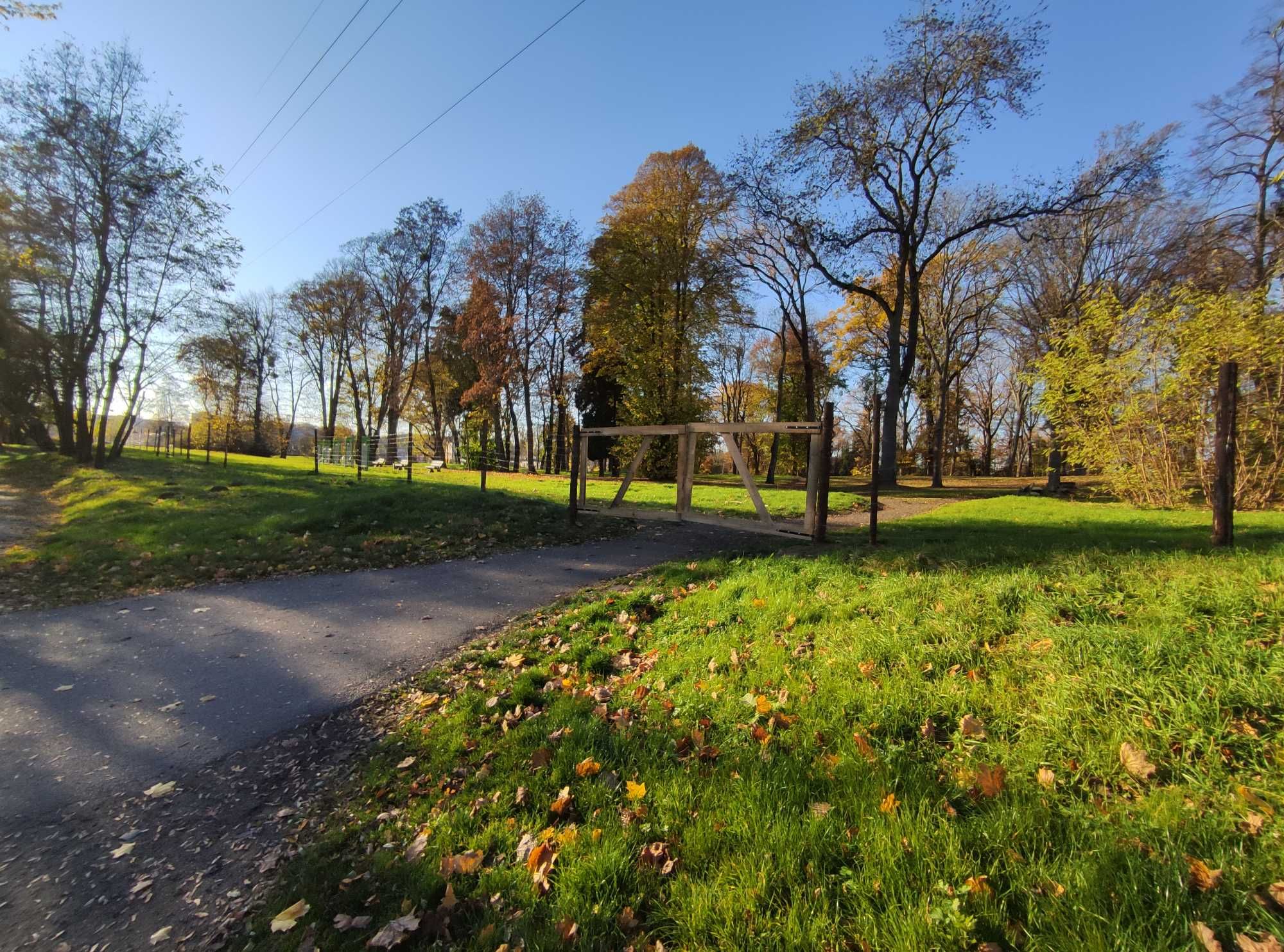 Ogrodzenie z siatki leśnej, płot na budowe, ogrodzenie tymczasowe