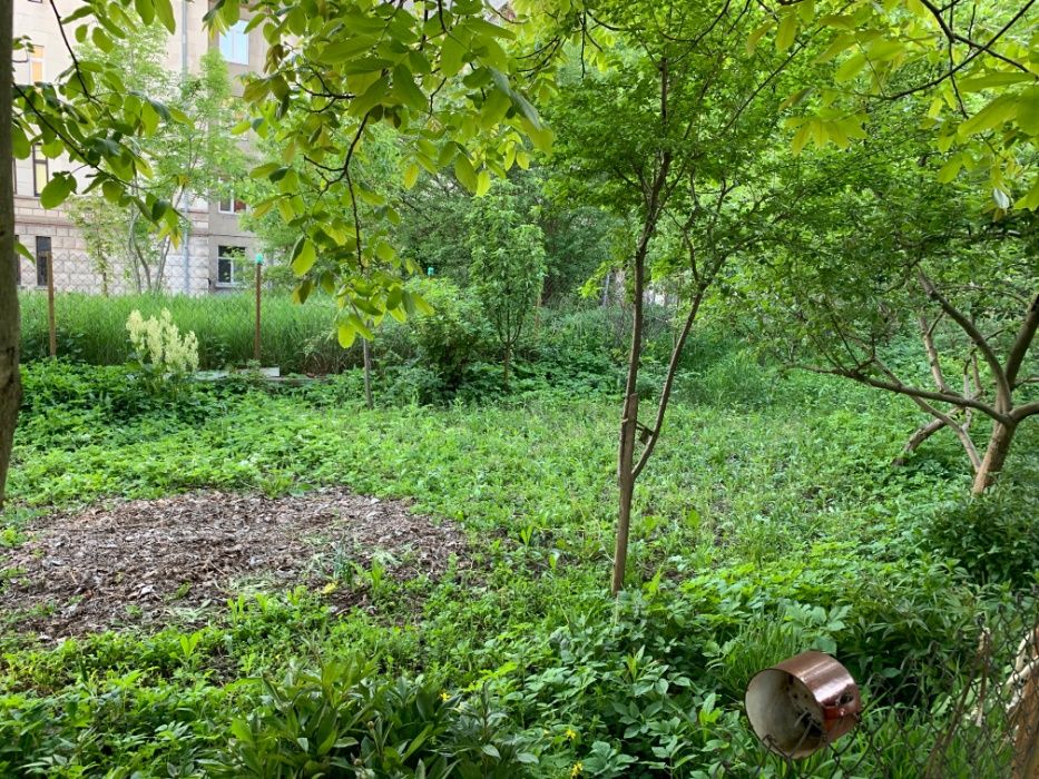 Будинок з приватизованою земельною ділянкою. Центр міста