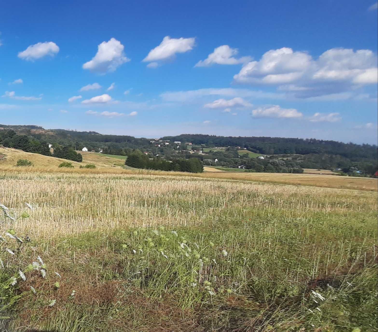 Działka na sprzedaż na Zagórzu w Nowej Rudzie Słupiec.