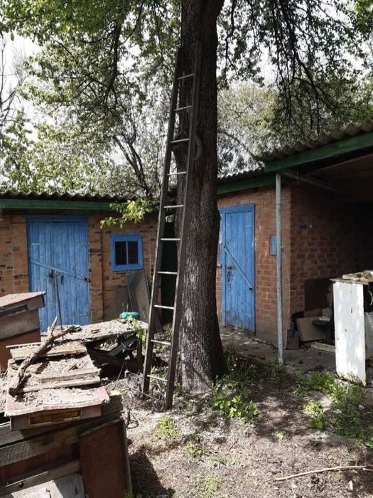 Бюджетний будинок у с. Коломак