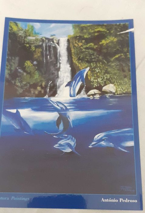 Liv2- Pack com 8 postais de golfinhos da autoria de António Pedroso