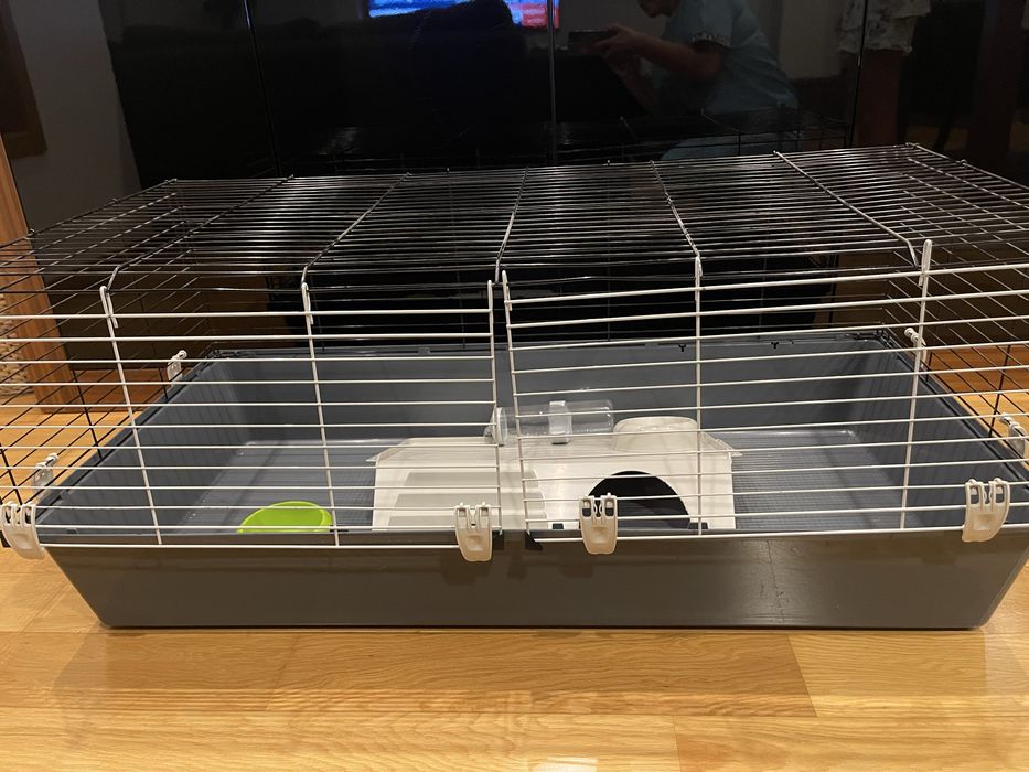 Casota coelho/porquinho da India