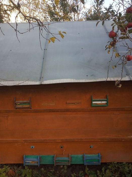 Продам вулик вагончик