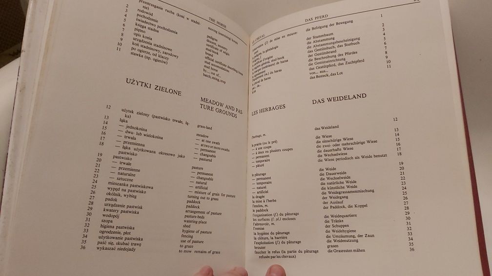 Koń i jeździectwo - książka SŁOWNIK hipologiczny Z. Baranowski