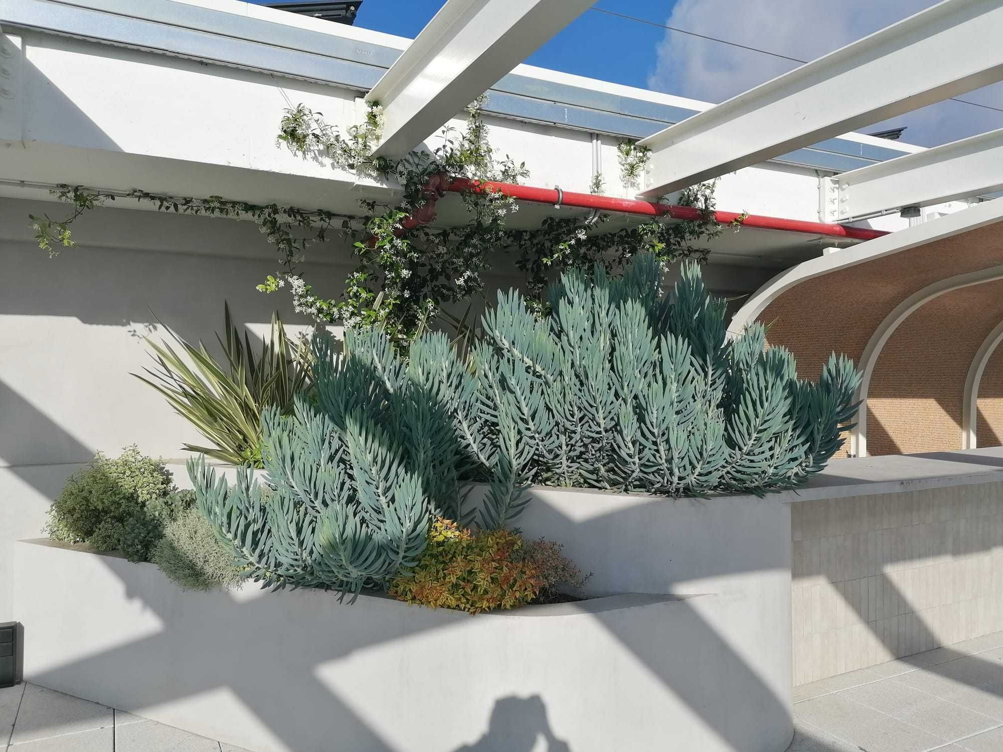 Instalação e Manutenção de jardins