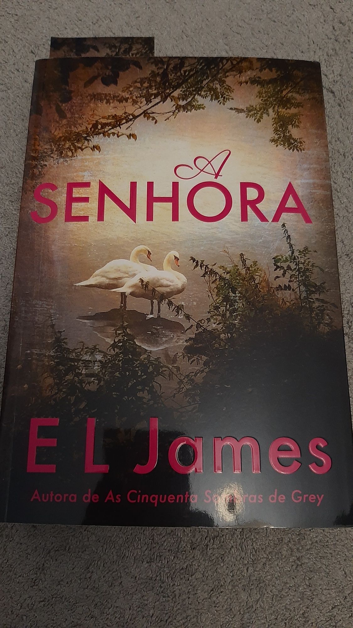 Livro A Senhora de EL James