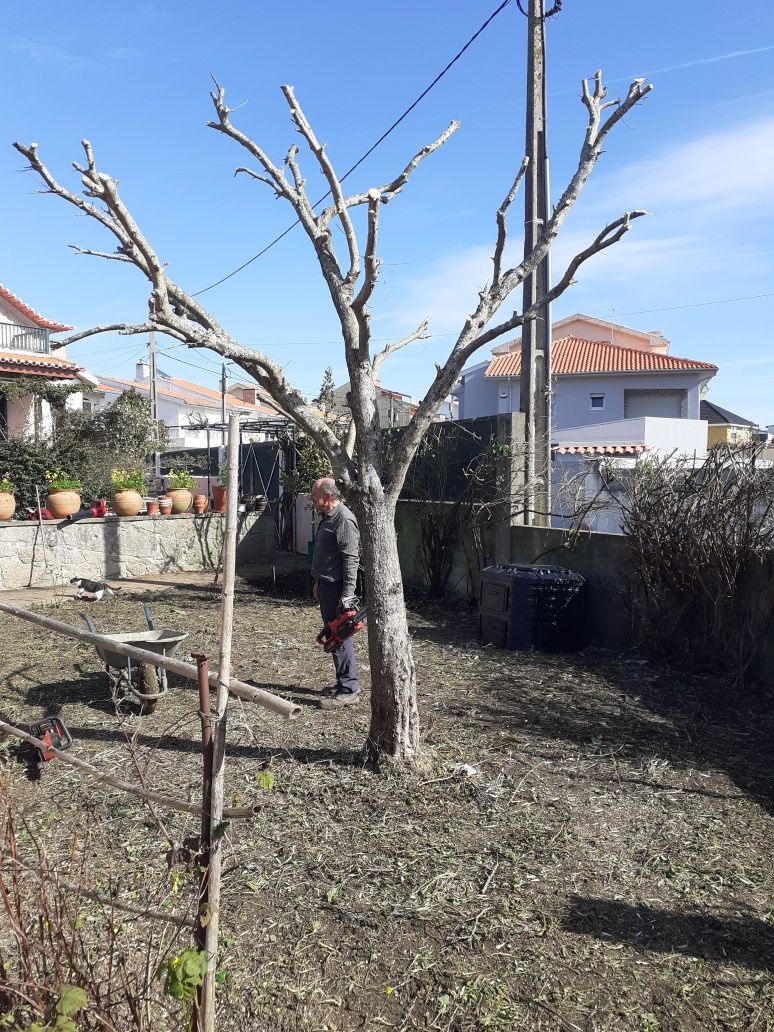 Serviços de Jardinagem