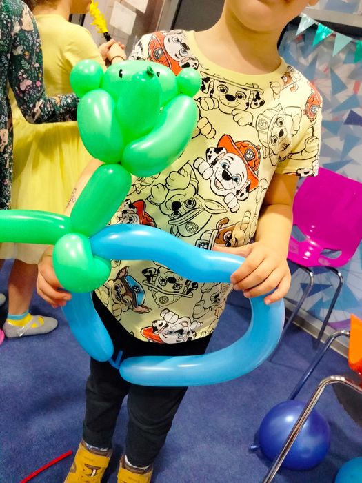 Animacje malowanie twarzy urodziny animator wesele festyn długopisy 3d