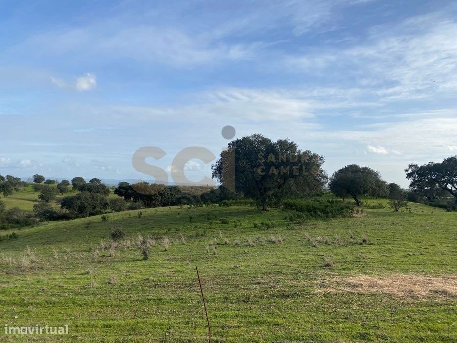 Terreno rústico nas imediações de Vila Nova de São Bento