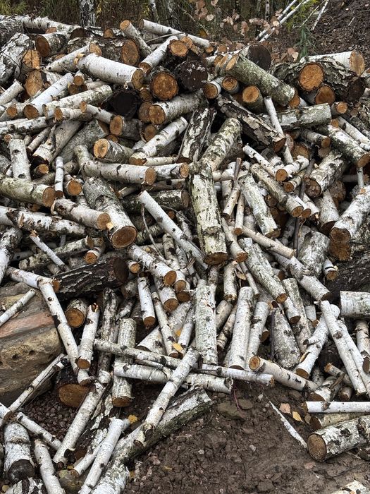Дрова,береза, пиленные