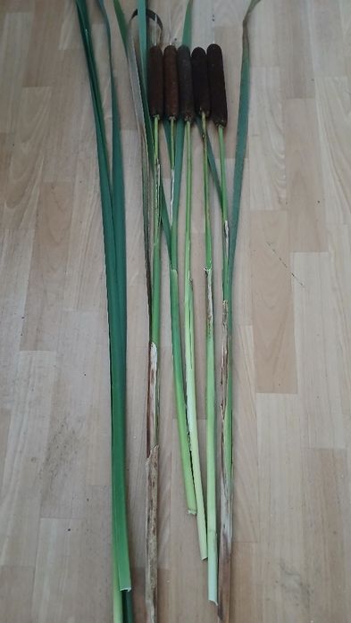 Pałka wodna do dekoracji