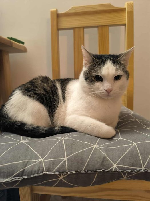 Czy ktoś ją w końcu pokocha?..