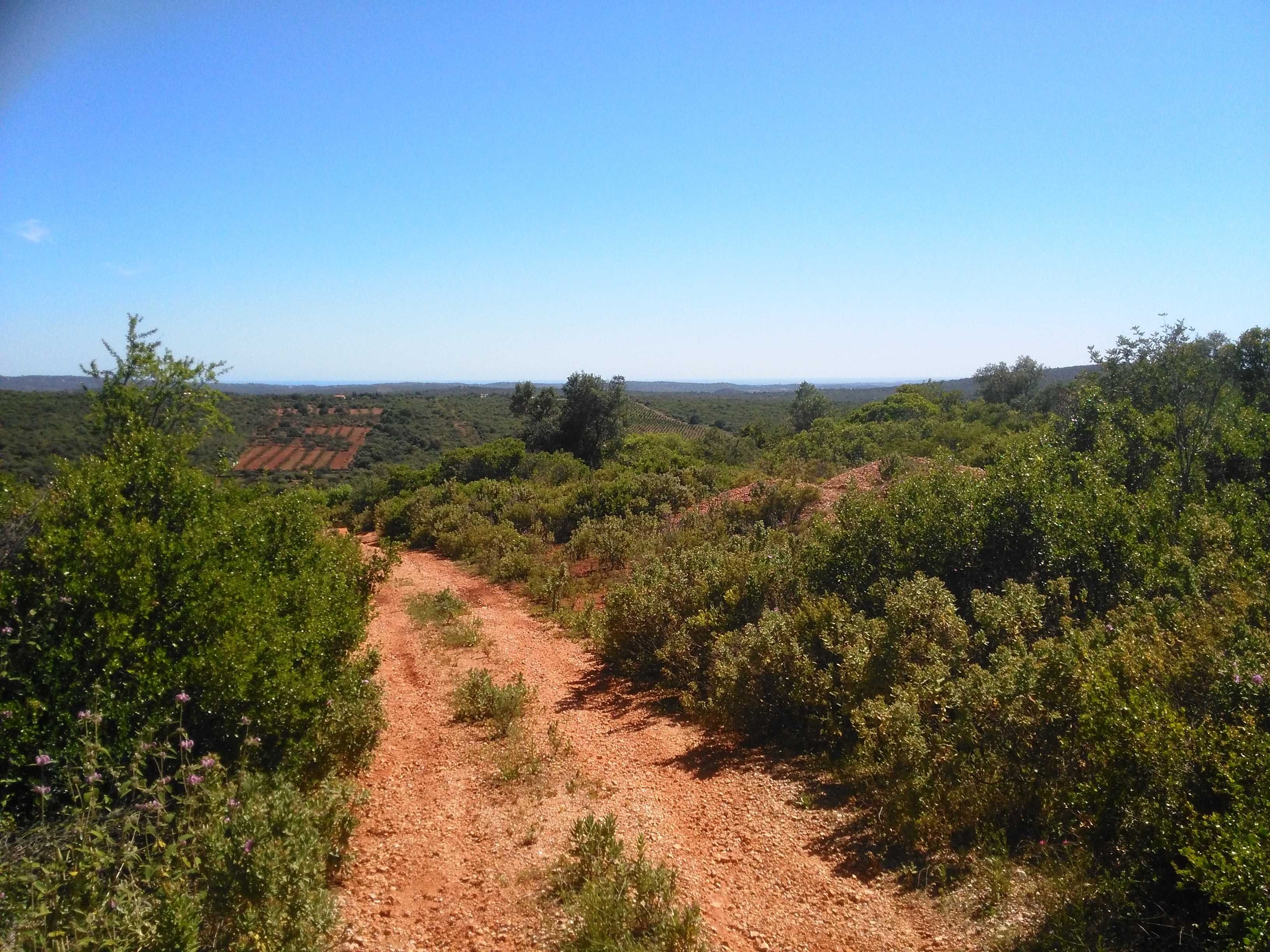 Terreno rústico 173.500 M2 em Alte-Algarve