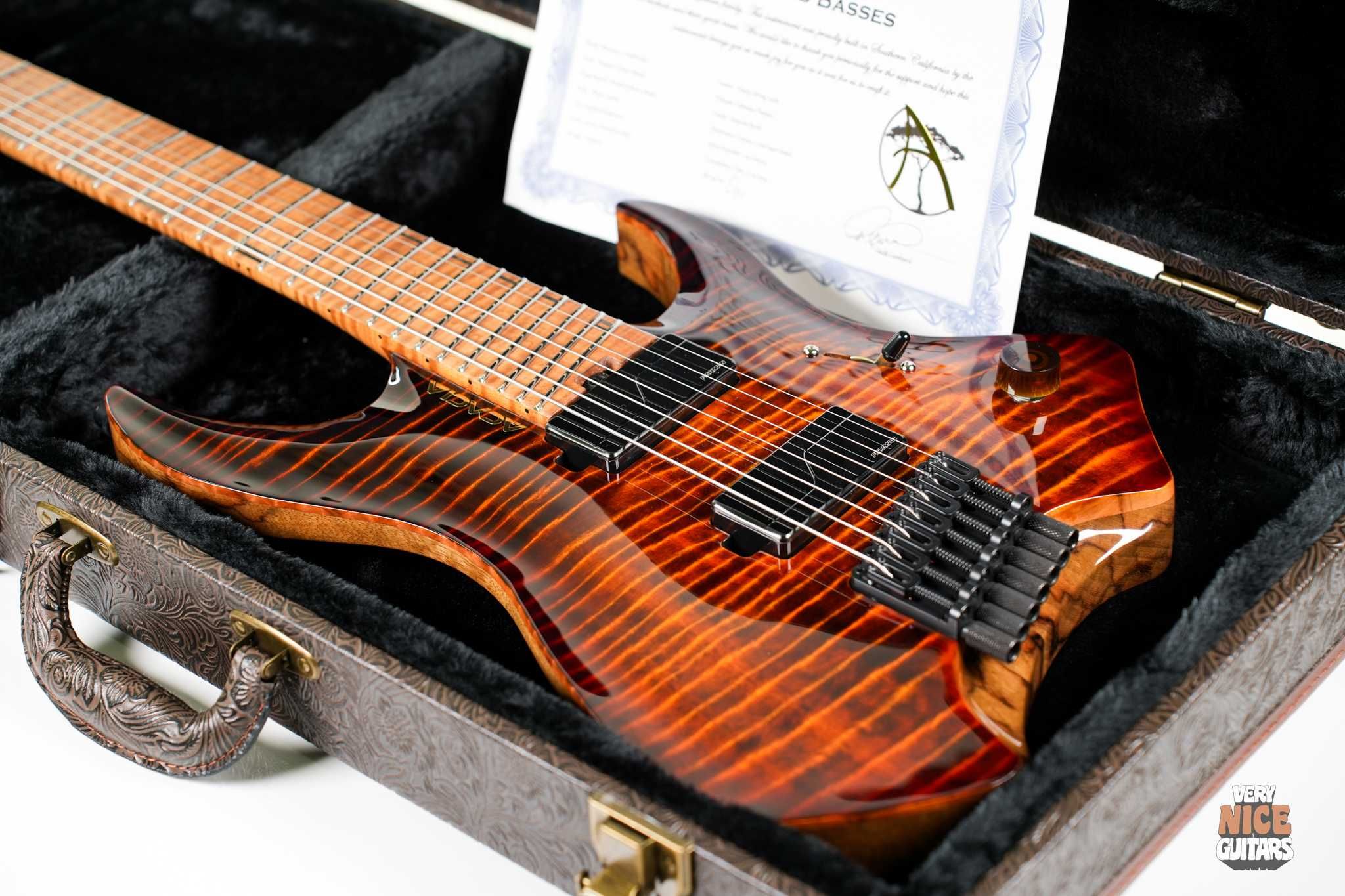 Acacia Medusa 7 Custom