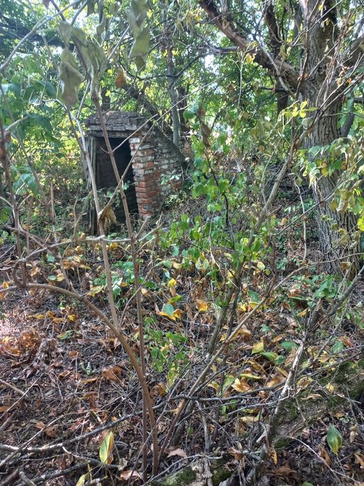 Земельна ділянка