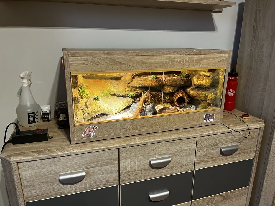 Terrarium dla Jaszczurki
