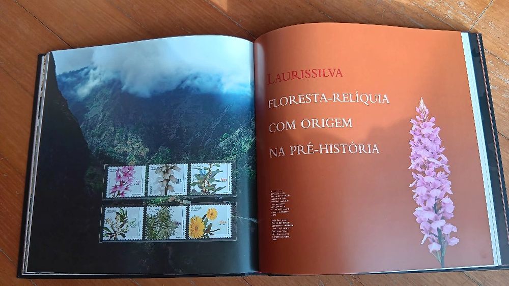 Patrimónios mundiais com selo português em 4 continentes