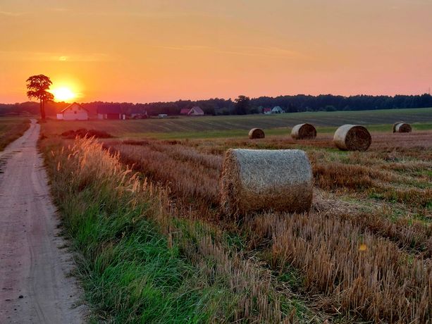 POWIDZ: działka między dwoma jeziorami