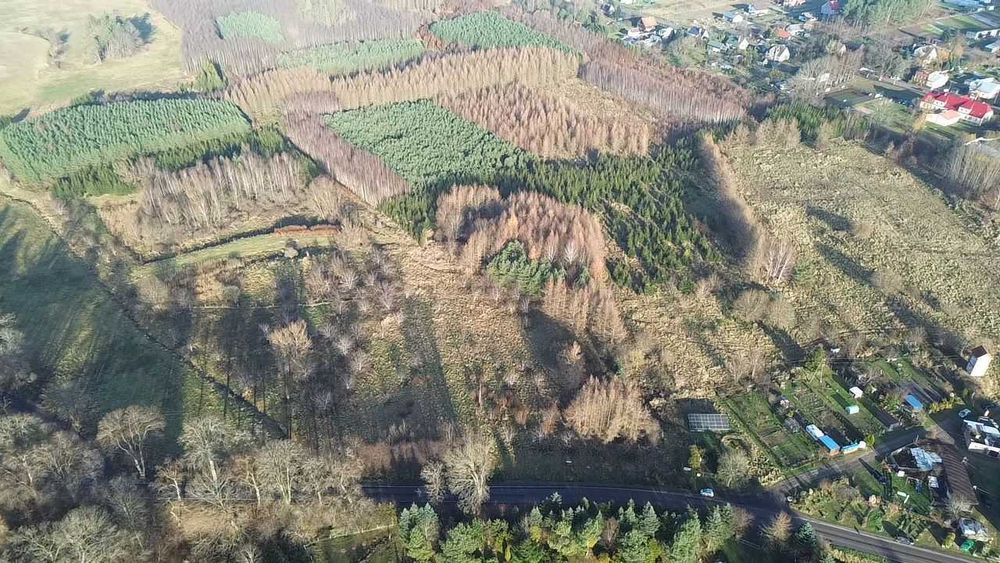 Działki w Warcinie*rolno-budowlane*5000 m2 i więcej