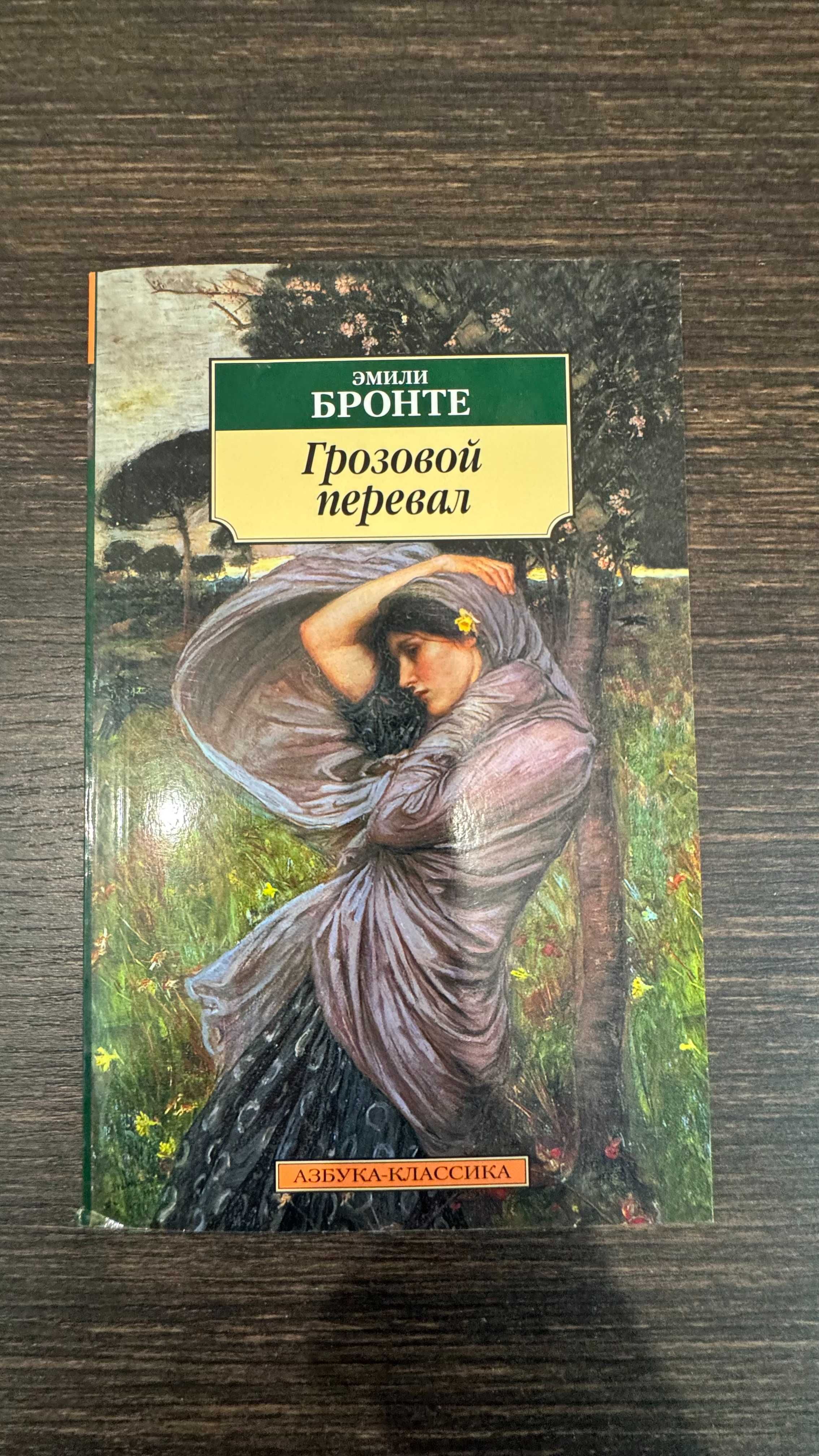 Книги из серии Азбука-классика