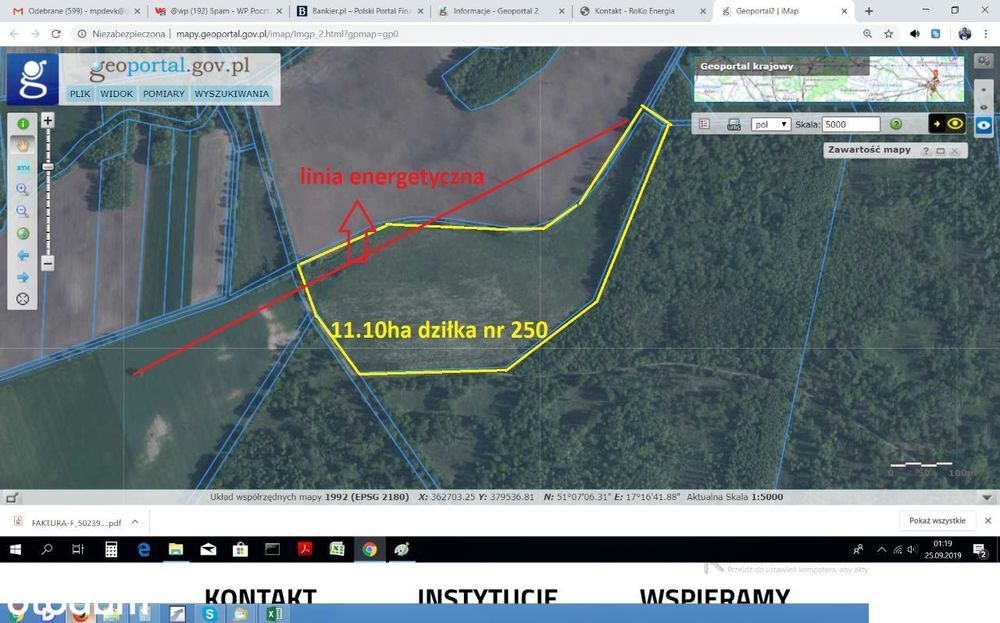 11.10ha Kątna, długołęka działka pod Lasem na Stadnie lub domki