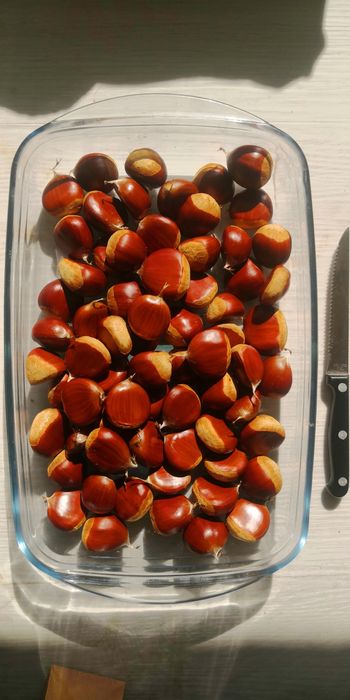 Castanhas produção 2025