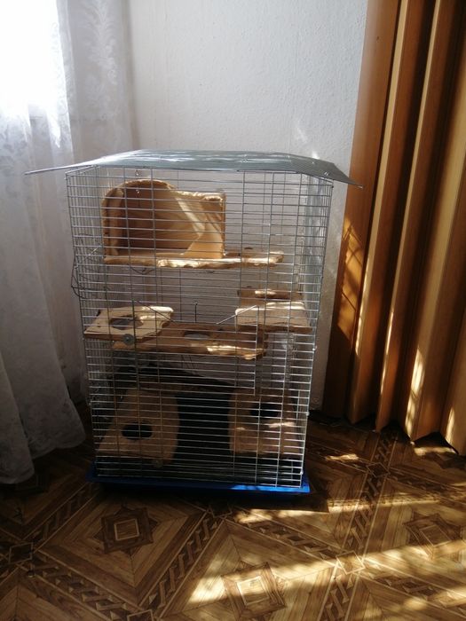 Клідка для шиншили