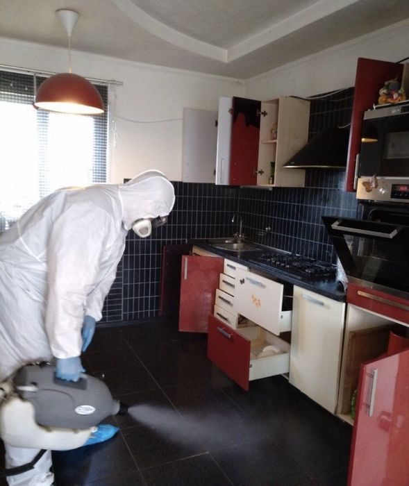 Винищуємо тарганів клопів бліх гризунів Якість Гарантія