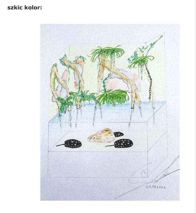 Wyjątkowe akwarium projektu Konrada Szumilasa