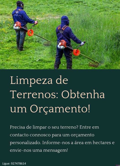 Brutos do monte limpeza de terrenos