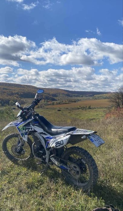 хорнет дакар 250.