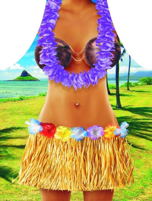 fartuch nr 15 (hawaii woman)..