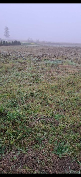 Działka z warunkami zabudowy