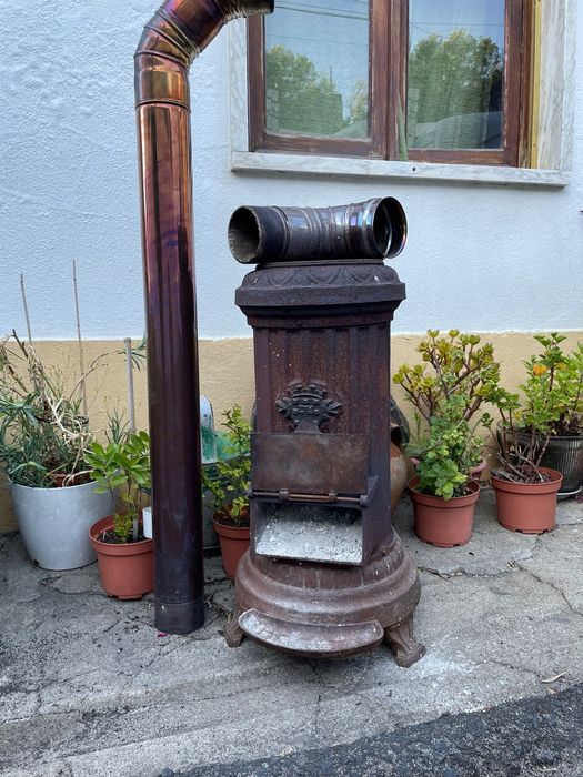 Salamandra para venda