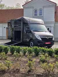 Opel Movano Koniowóz  Koniowóz-Opel Movano-Zabudowa ogierowa-używana,Klima,Navi