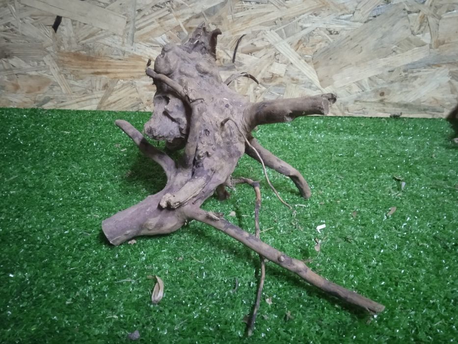 Korzeń do akwarium Red Moore Wood nr 745 o wymiarach 18/18/14