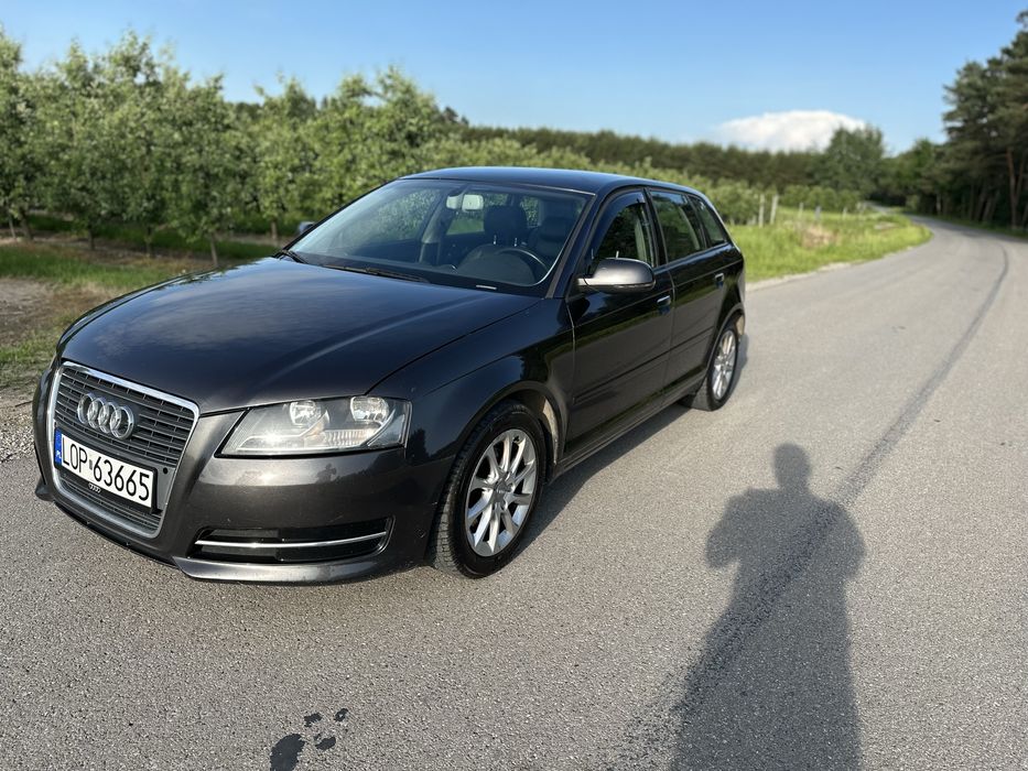 Audi A3 8P LIFT