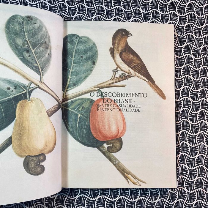 Terra Brasil 1500: A Viagem de Pedro Álvares Cabral