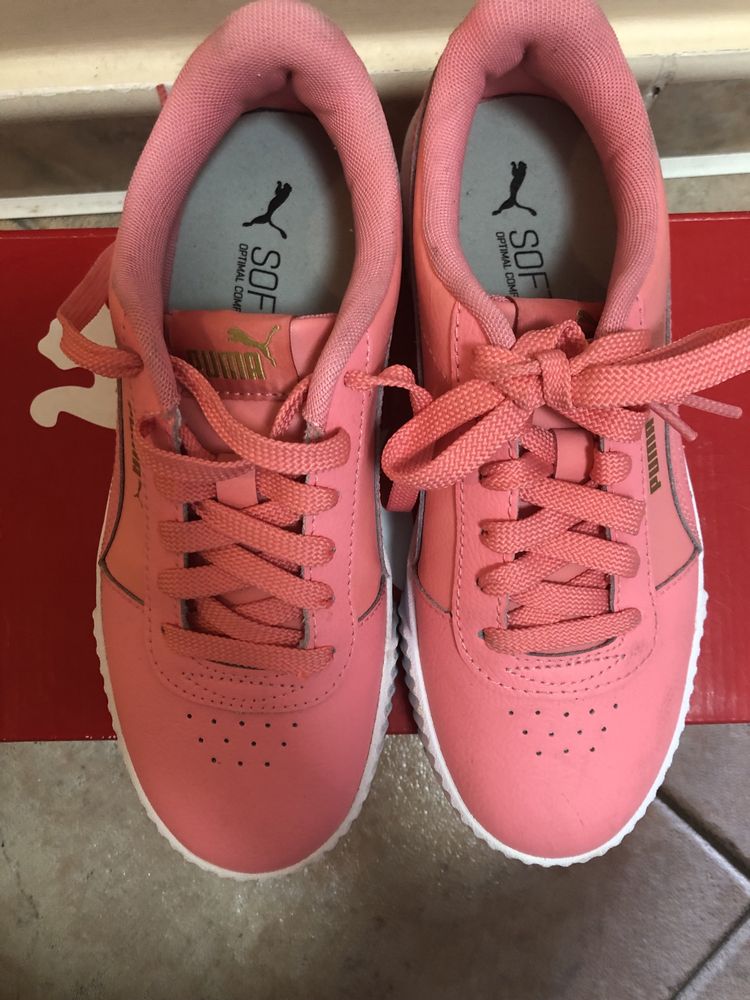 Puma Carina L salmon