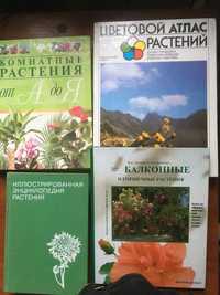 Энциклопедии растений.  Энциклопедия  от "А"до "Я" Комнатные растения.