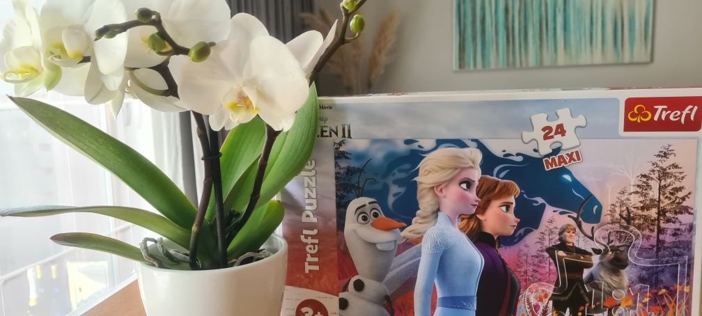 Trefl duże puzzle disney frozen Elza maxi 24 magiczna wyprawa