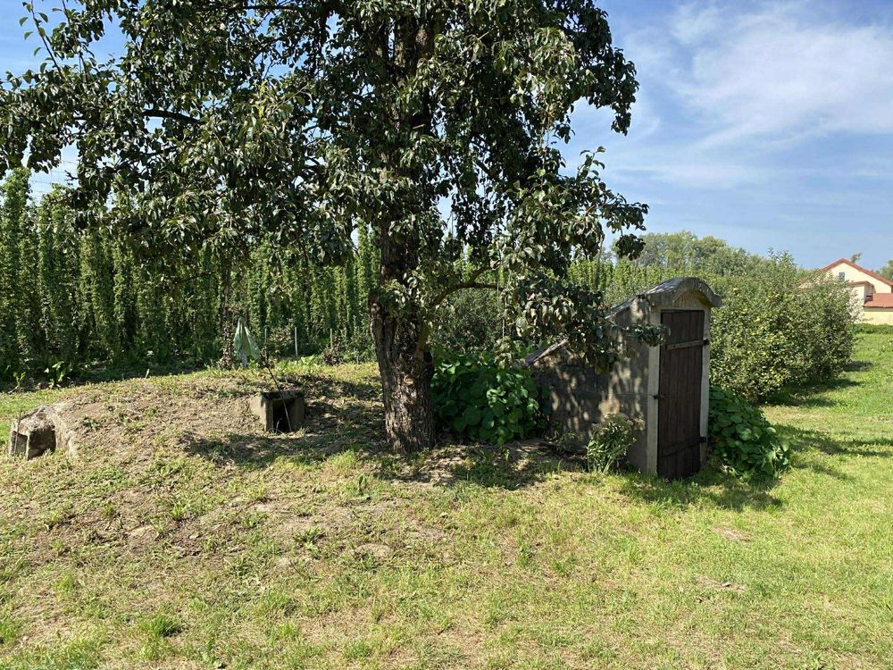 Siedlisko-pod Kazimierzem Dolnym