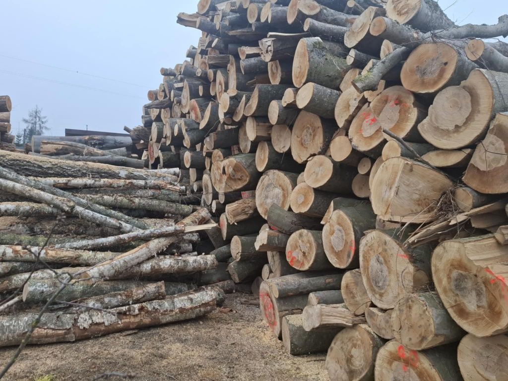 Drewno kominkowe I opałowe