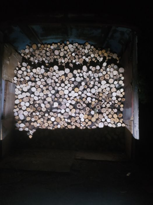 Продам дрова твердых пород рубанные.