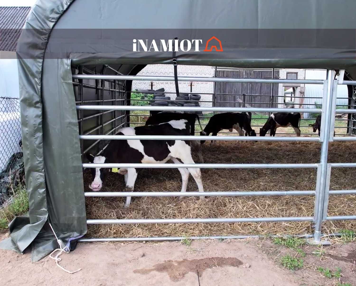 Zagroda Dla Zwierząt Premium 8x8 PVC 900g ocynkowana stal, wiata
