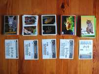 Cromos Animais 2013 Panini - APENAS VENDA