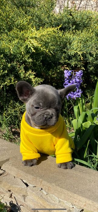 Мальчикв голубом окрасе