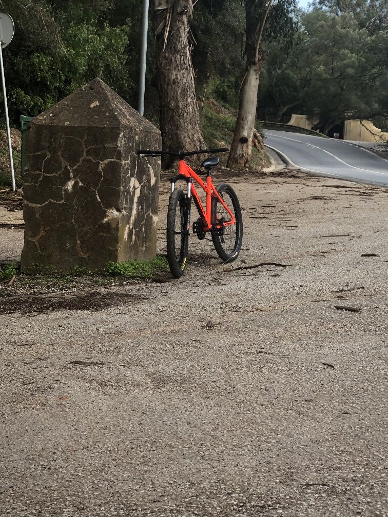 Bicicleta pneus Maxxis