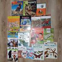 Książki edukacyjne dla dzieci: dinozaury, ssaki, motyle - 16 szt