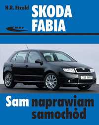 Skoda Fabia w.2010
Autor: H.R. Etzold